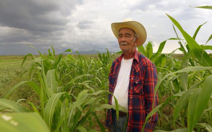 Especialização em agricultura no México