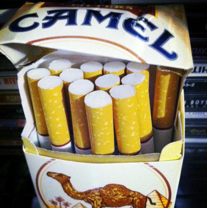 Tipos de camelo de cigarro