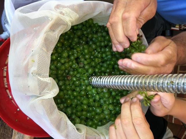 Como fazer uma imprensa para uvas com as próprias mãos?