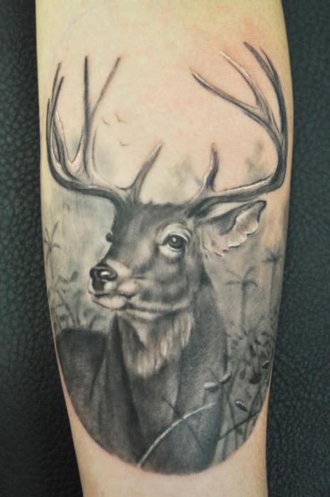 Que tipo de tatuagens de animais existem?