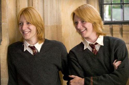 George Weasley e Fred Weasley são gêmeos travessos da história de um menino que sobreviveu