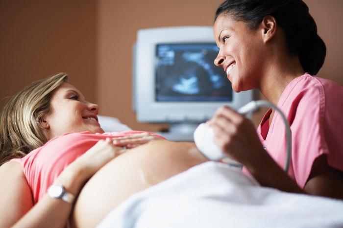 preparação para uma ultra-sonografia do abdome e rins em mulheres grávidas
